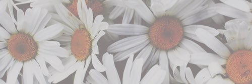kjoyys's profile banner image