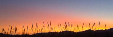 martukilami's profile banner image