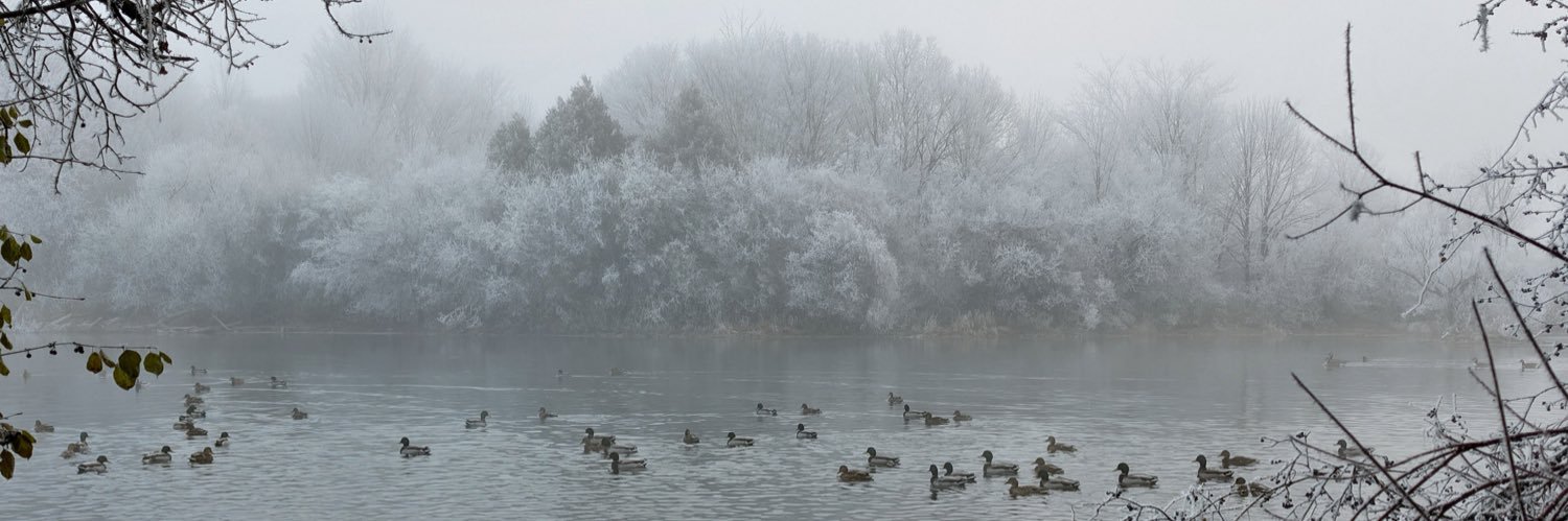 Krista Gray-Donald banner