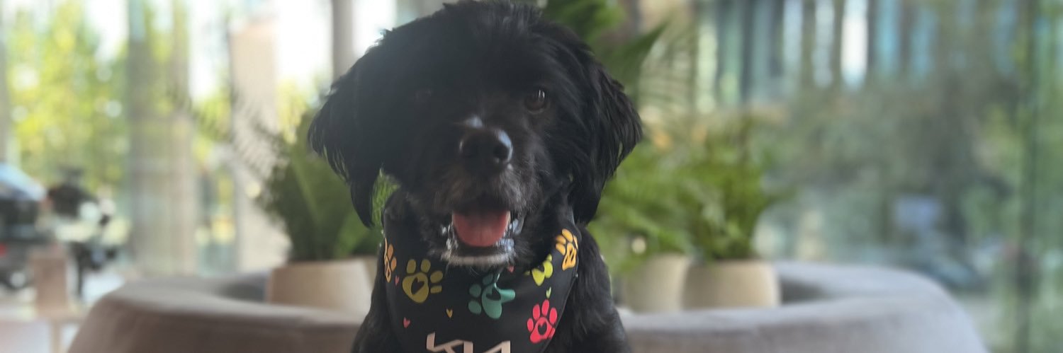 Francisca Grandi banner