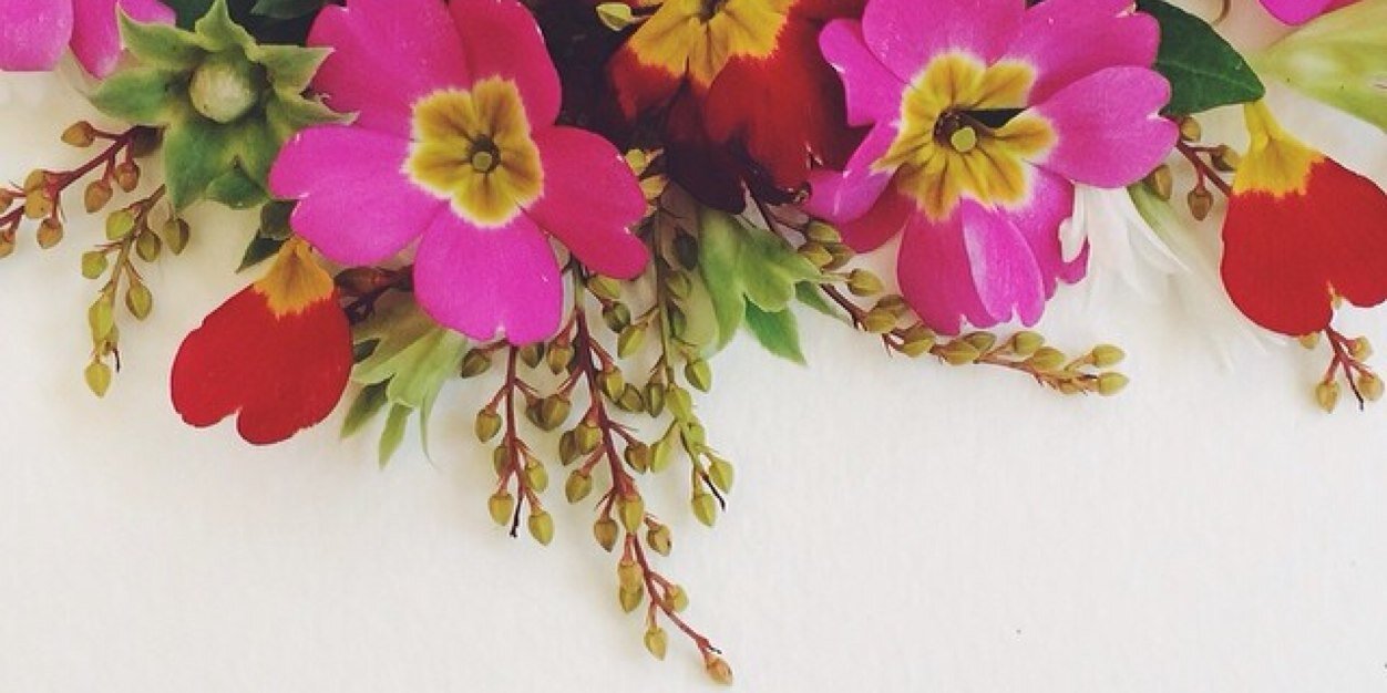 amaliainsani's profile banner image
