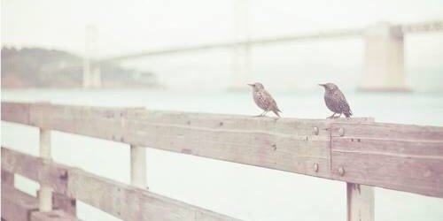 asws1405's profile banner image