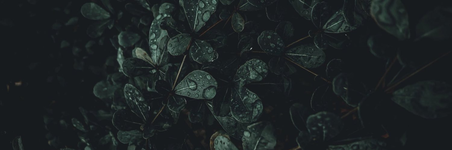 _MgKarla's profile banner image