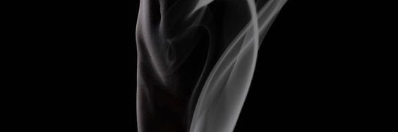 BIO's banner