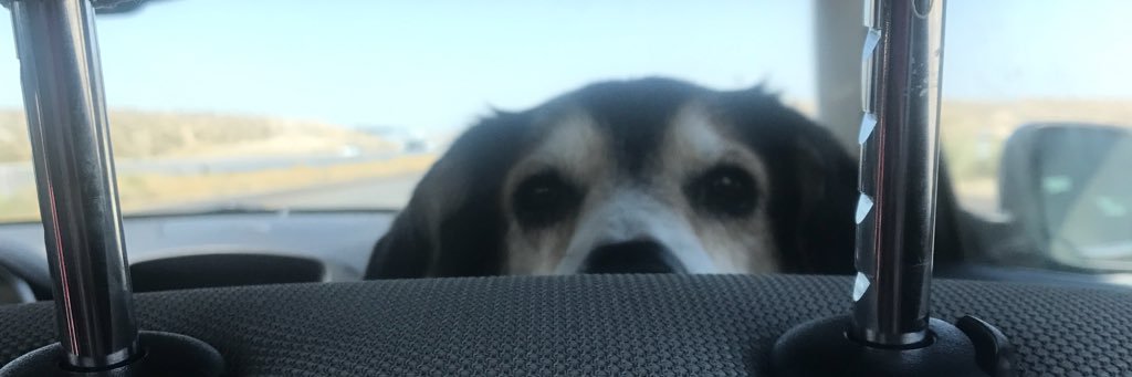 WheelNic's profile banner image