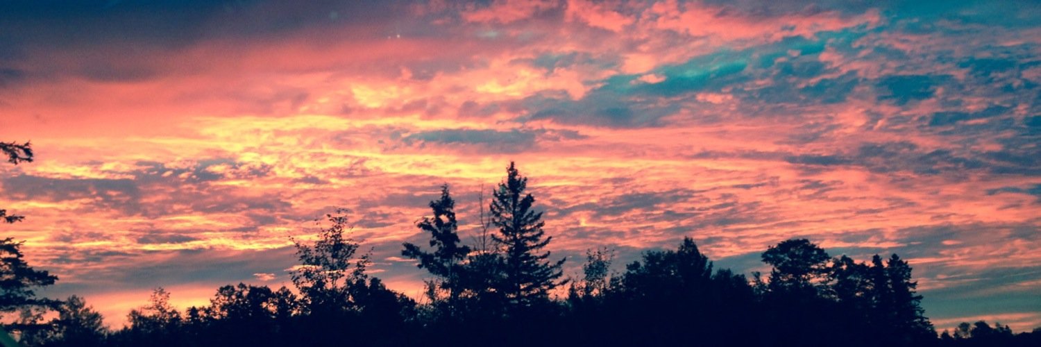 AmySlemp's profile banner image