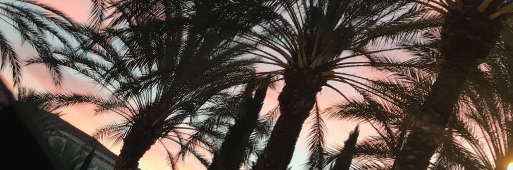 gelipie's profile banner image