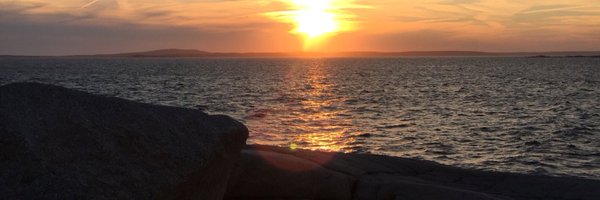 Kim_A_Collins Profile Banner