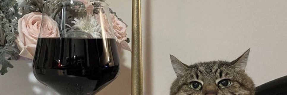 chanlerseth's profile banner image