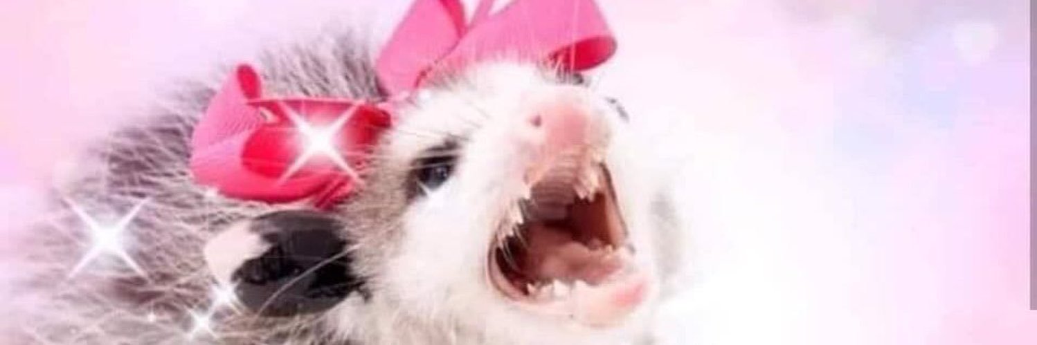 👑RayGun of Tourlandia👑 banner