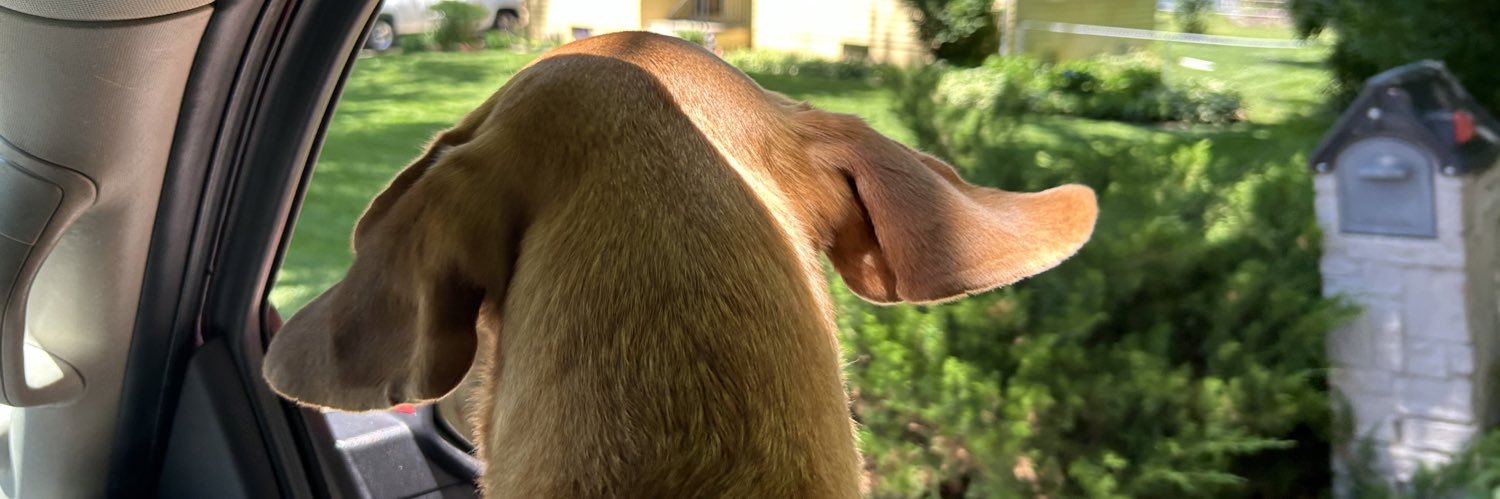 heres_haley's profile banner image