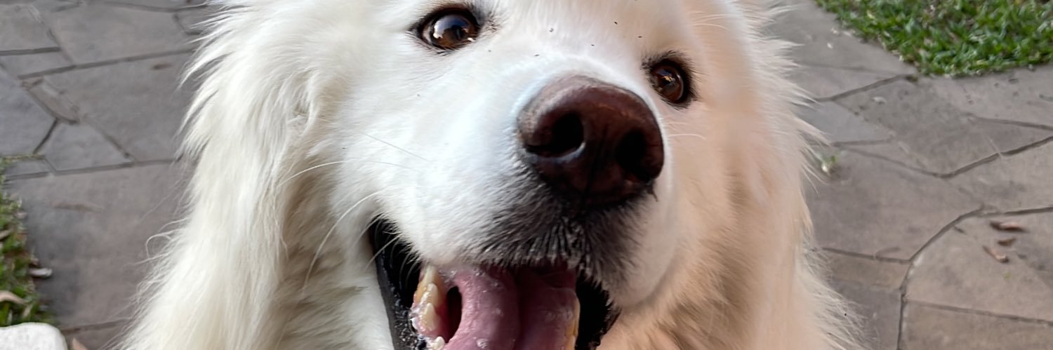 LucasColorado's profile banner image