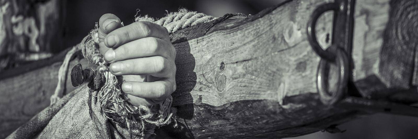 AlcoTodd's profile banner image