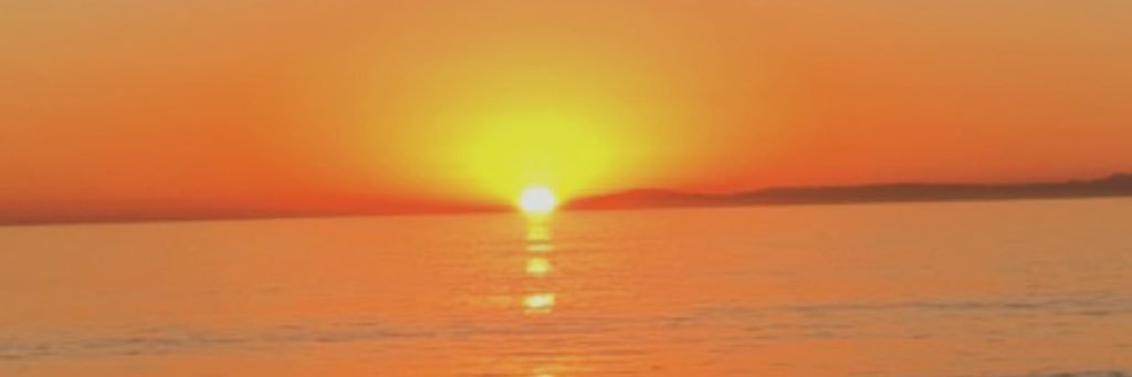 _MorganPerkins_'s profile banner image