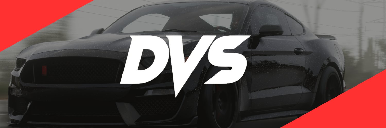DVS banner