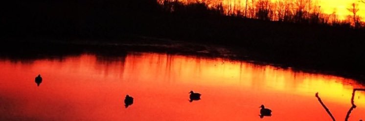 Calebmiller69's profile banner image