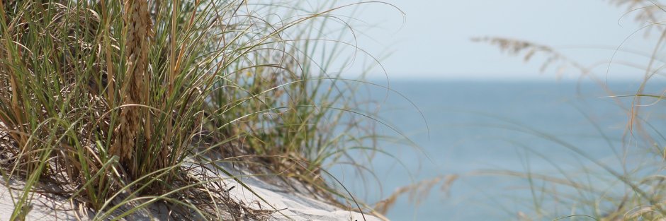 BeachMusicNow's profile banner image