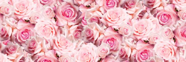 juliaakerley's profile banner image