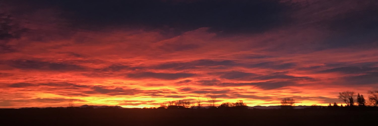 Wayne Ebersole banner