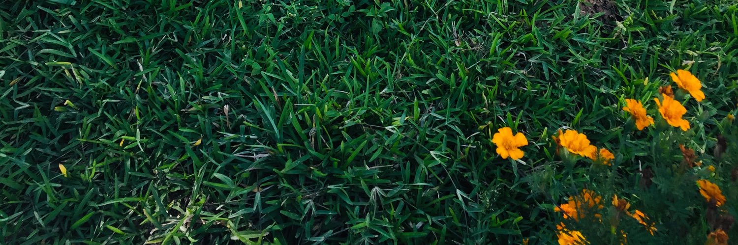 Simbisaii's profile banner image