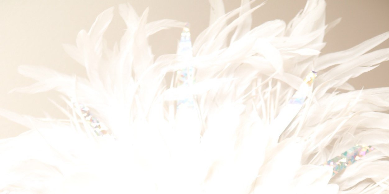 DanyellNichole banner