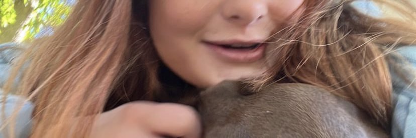 JaineCollen's profile banner image