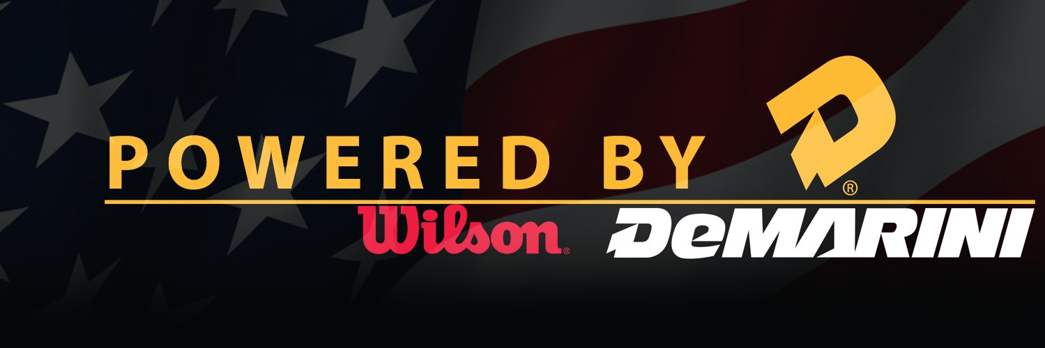 RISE Baseball banner