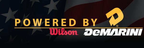 RISE_Baseball Profile Banner