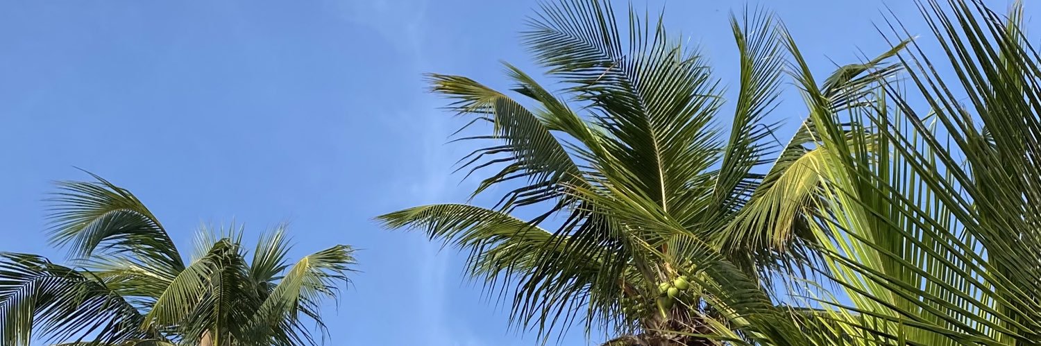 Jhonnywave's profile banner image