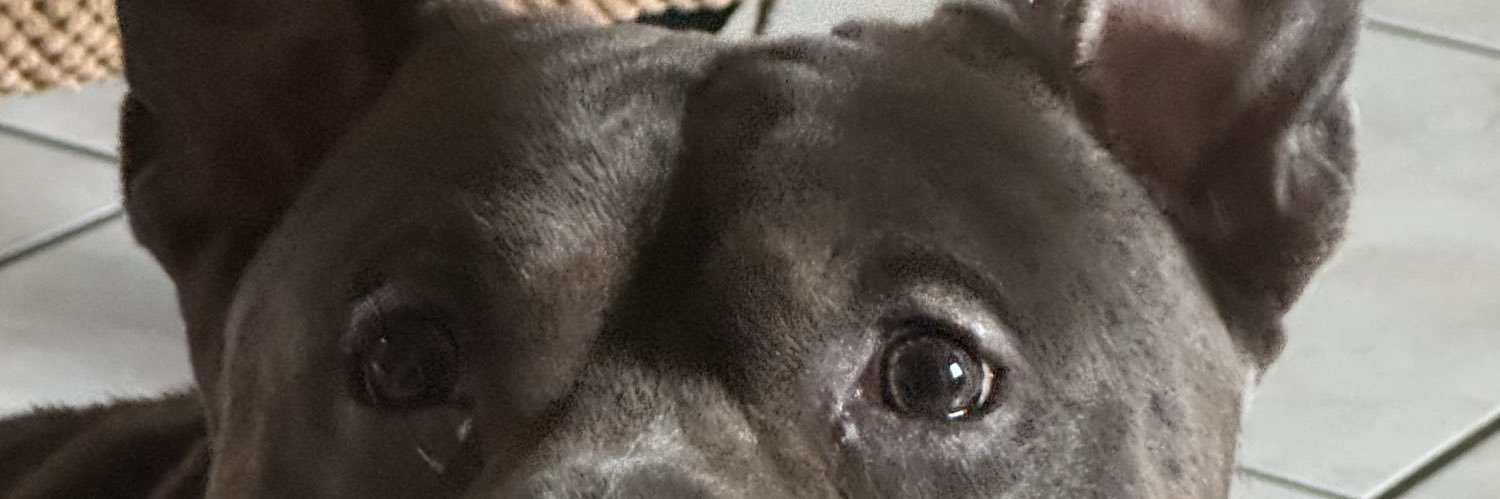 _joshdagod's profile banner image