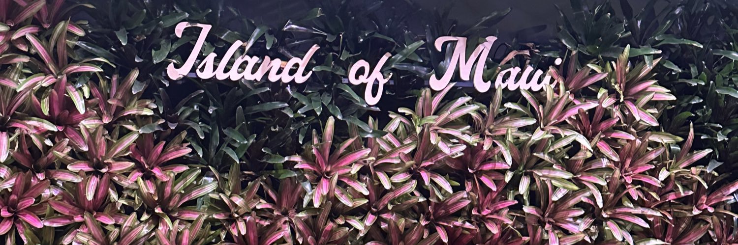 Desi B.👄💄 banner