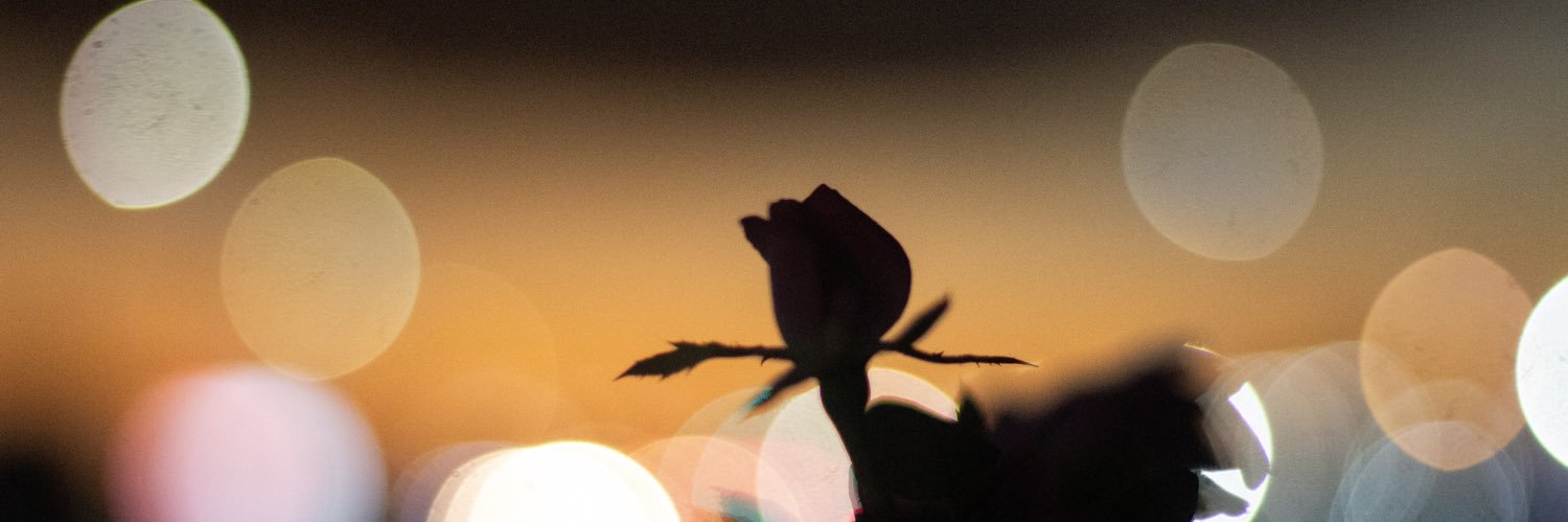 CallMeeQ_'s profile banner image