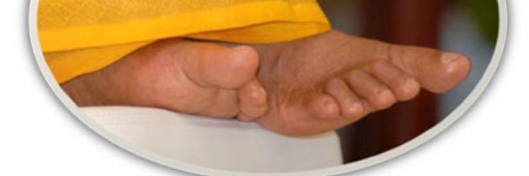 Ꭲipu singer official banner