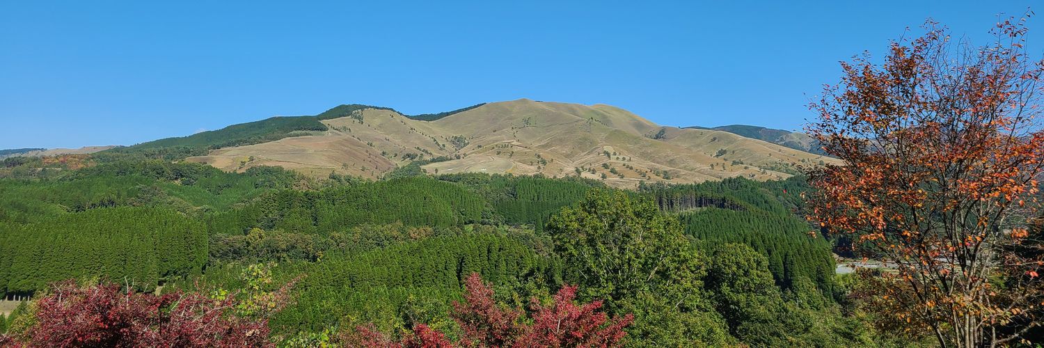si123456789's profile banner image