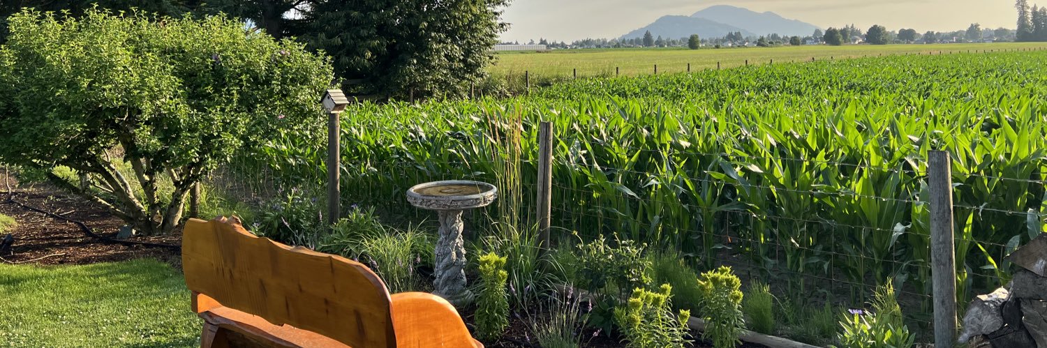 reneepaolav's profile banner image