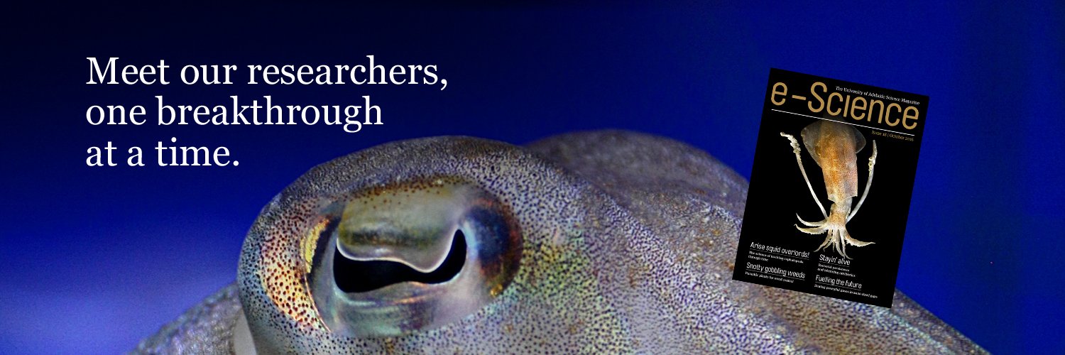 eScienceMag's profile banner image