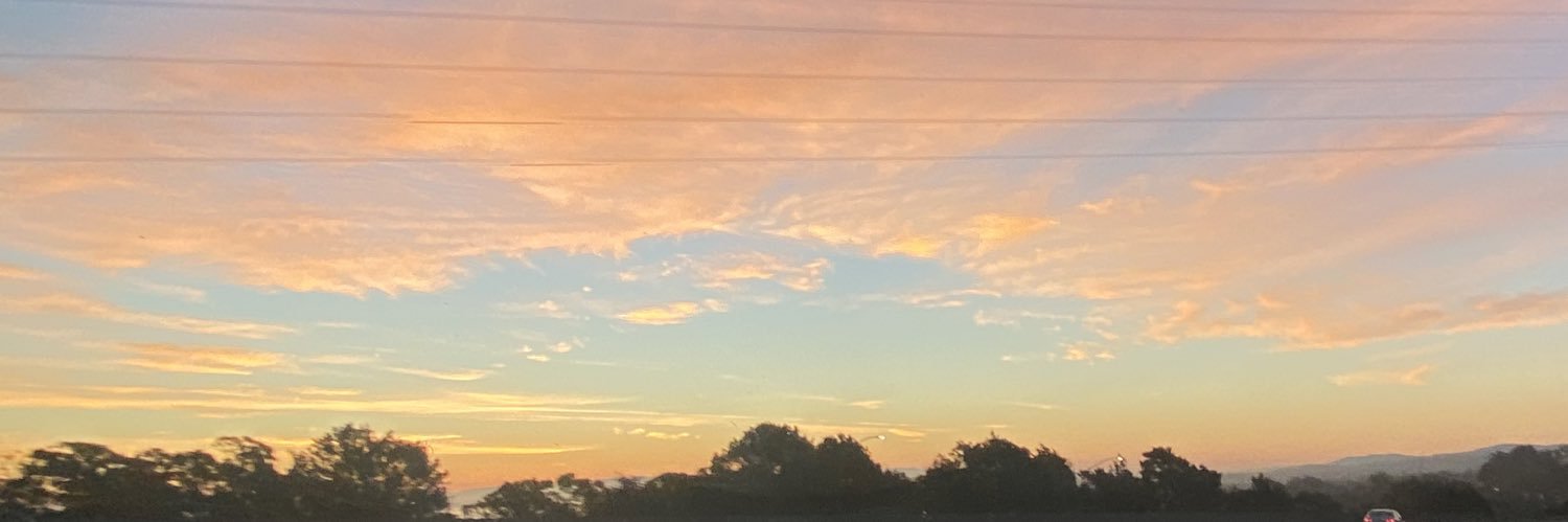 MirandaFool's profile banner image
