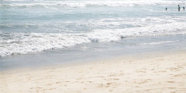 Junorutten's profile banner image