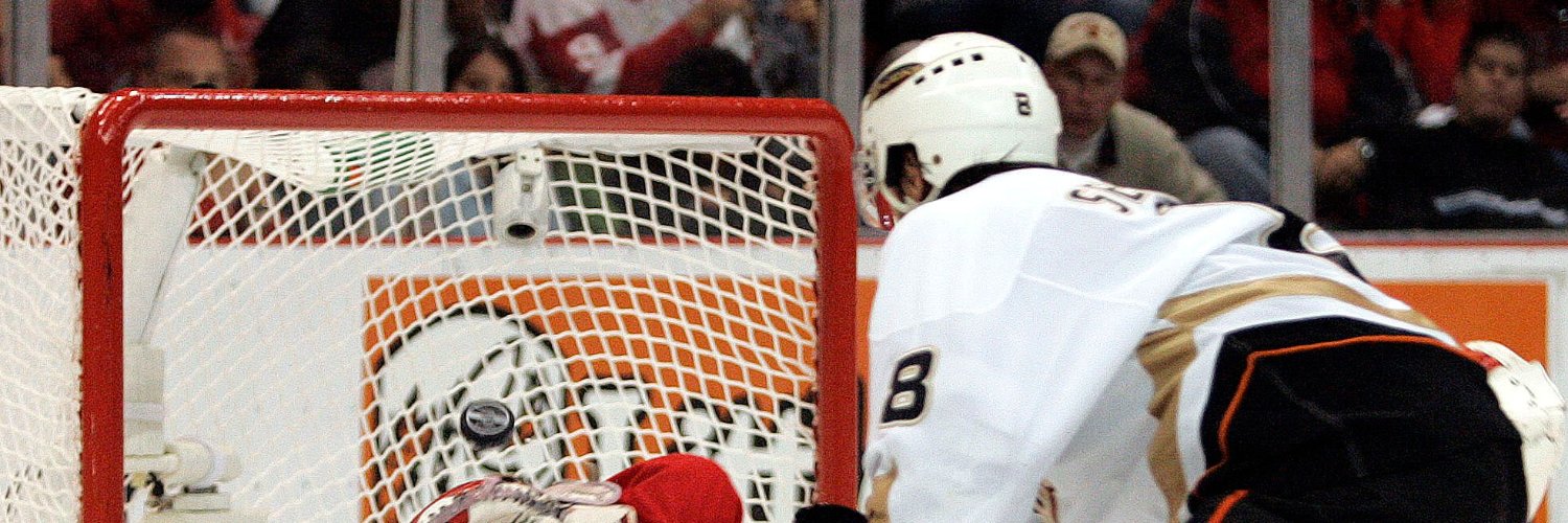 Wayne Selänne banner