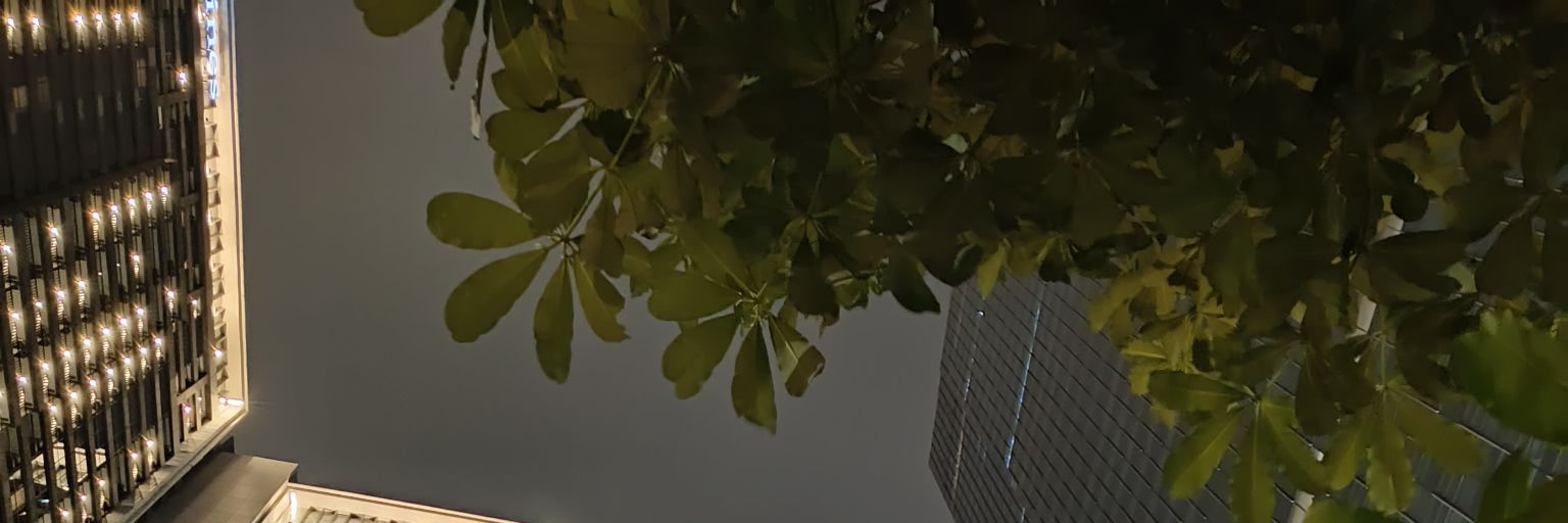 nmastb's profile banner image