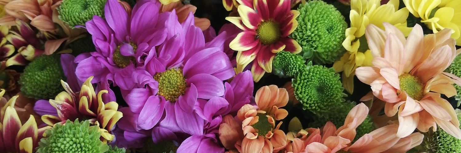 vancyyflorist's profile banner image