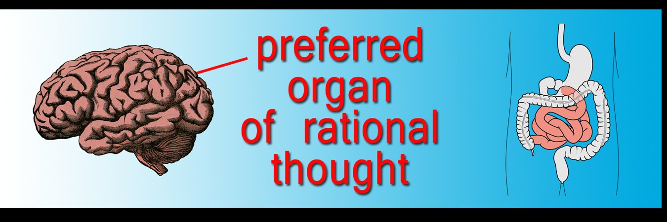 ℝ𝕠𝕕𝕕𝕝𝕖𝕫 🖕Trump, Putin, Netanyahu 🇺🇦 banner