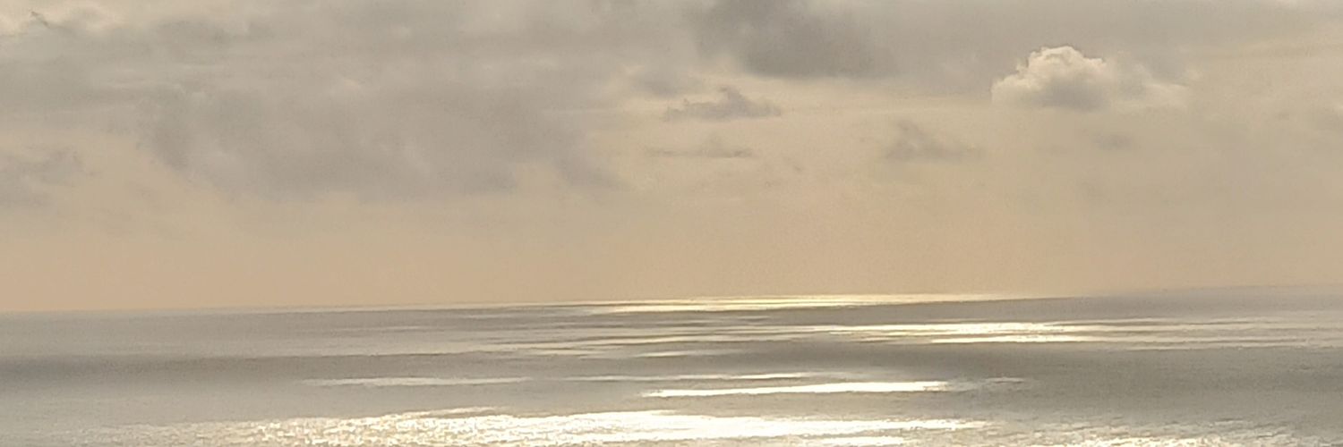 Noyusi_'s profile banner image
