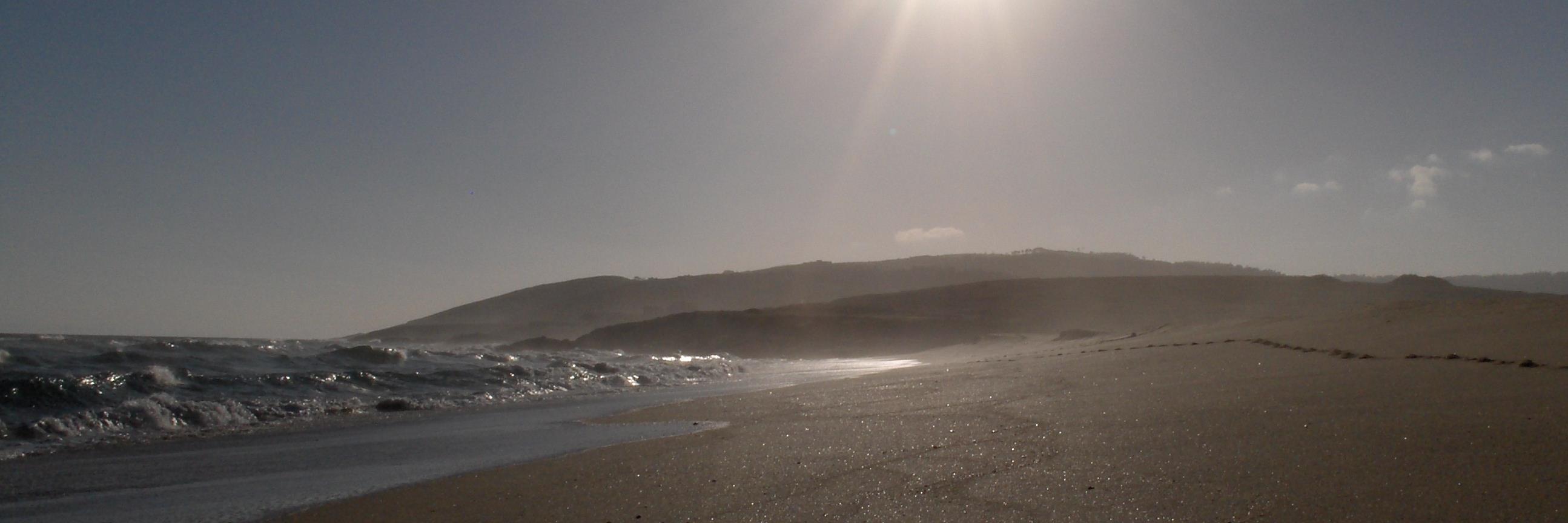 Mari Rodriguez banner