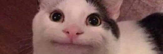 potatochrip's profile banner image