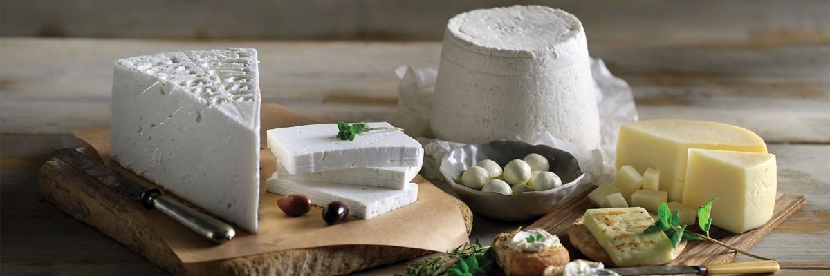 AgoraFoodInt's profile banner image