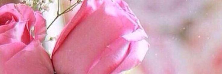 elsayed_asma's profile banner image