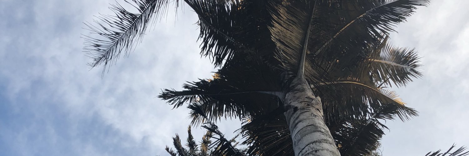 Heidybs's profile banner image