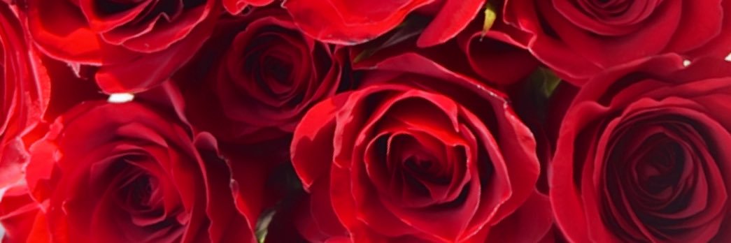 ashhsocozy's profile banner image