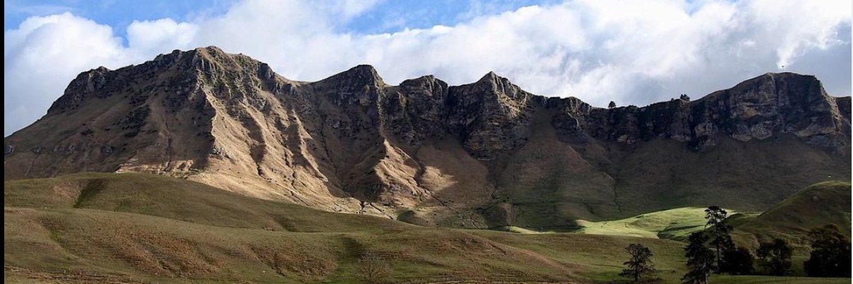 Rachel Morris banner